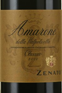 Amarone della Valpolicella Classico - вино Амароне делла Вальполичелла Классико 0.75 л красное полусухое