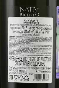 Nativ Bicento Irpinia Campi Taurasini DOC - вино Натив Биченто ДОК Ирпиния Кампи Тауразини 0.75 л красное полусухое