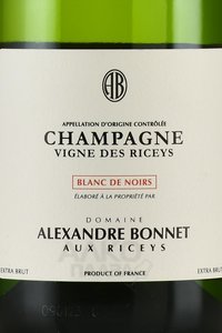 Alexandre Bonnet Blanc de Noirs - шампанское Александр Бонне Блан Де Нуар 0.75 л белое сухое в п/у