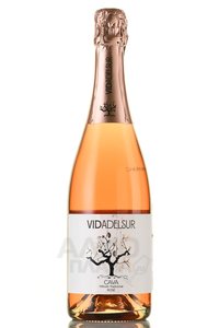 Vidadelsur Rose Cava - вино игристое Кава Видадельсюр Розе 0.75 л розовое брют