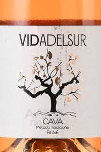 Vidadelsur Rose Cava - вино игристое Кава Видадельсюр Розе 0.75 л розовое брют
