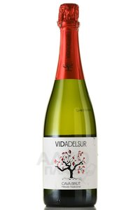 Vidadelsur Brut Cava - вино игристое Кава Видадельсюр Брют 0.75 л белое брют