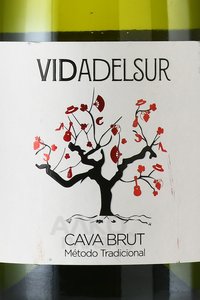 Vidadelsur Brut Cava - вино игристое Кава Видадельсюр Брют 0.75 л белое брют