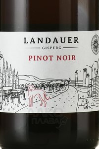 Winzerhof Landauer-Gisperg Pinot Noir - вино Винцерхоф Ландауэр Гисперг Пино Нуар 2021 год 0.75 л красное сухое