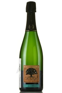 Champagne Marteaux Guillaume Le Metisse - шампанское Шампань Марто Гийом Ле Метисс 2016 год 0.75 л белое экстра брют