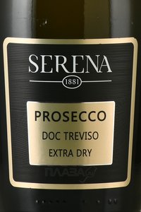 Prosecco Treviso Extra Dry Serena 1881 - вино игристое Просекко Тревизо Экстра Драй Серена 1881 1.5 л белое сухое в п/у