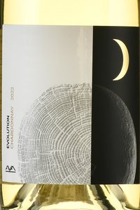 Вино Эволюшн Шардоне 2022 год 0.75 л белое сухое