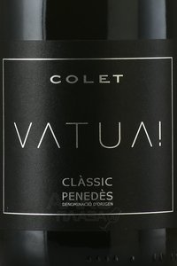 Colet Vatua Classic Penedes - вино игристое Классик Пенедес Колет Ватуа 0.75 л белое экстра брют